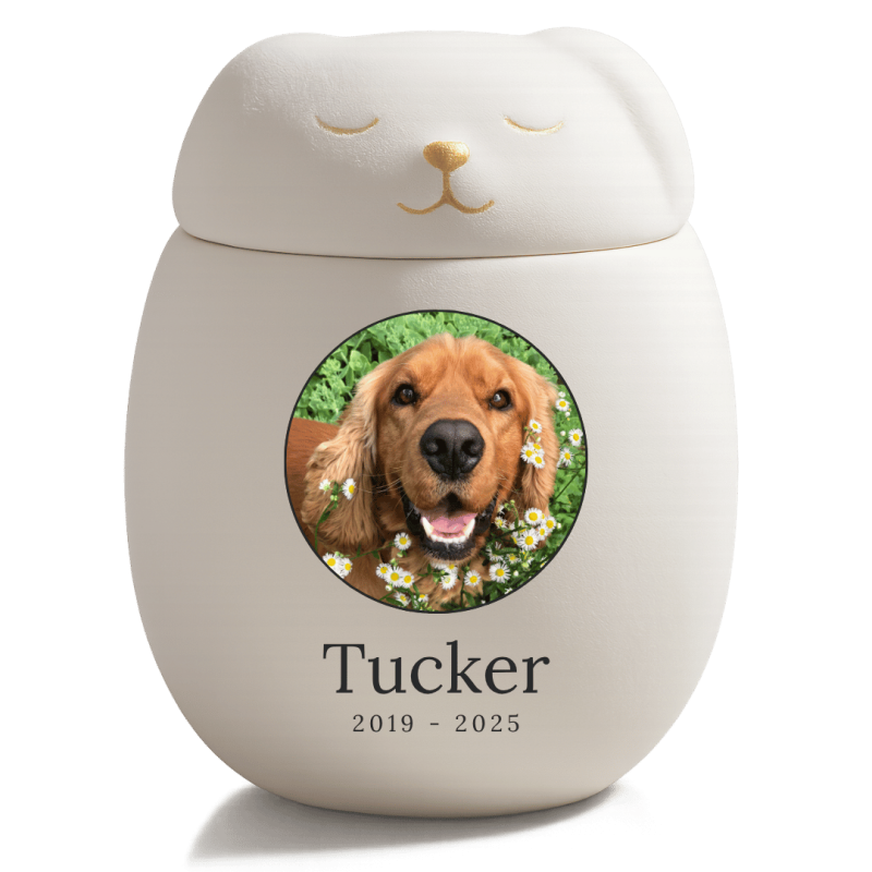 Urne funéraire personnalisée en céramique avec couvercle chien endormi – Urne pour cendres avec photo cadre halo, nom & dates