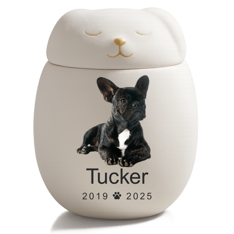 Urne funéraire pour chien personnalisée en céramique avec couvercle chien endormi – Urne pour cendres avec photo, nom & dates