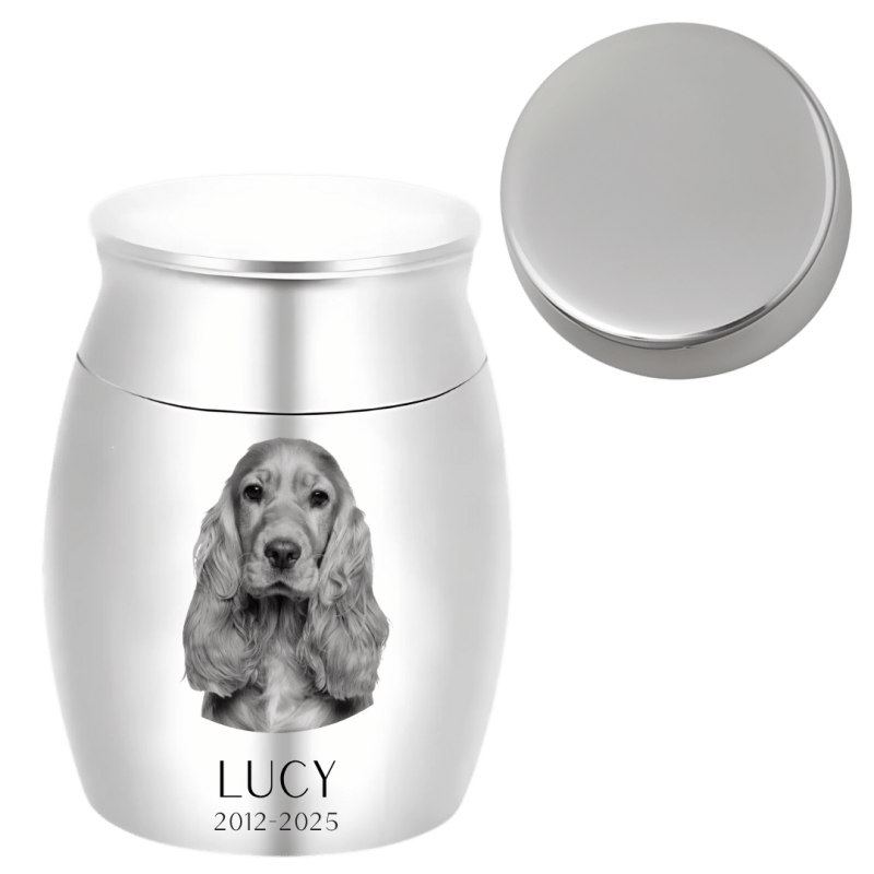 Urne funéraire pour chien personnalisée avec dessin d’après photo sur le couvercle – Mini urne souvenir avec nom