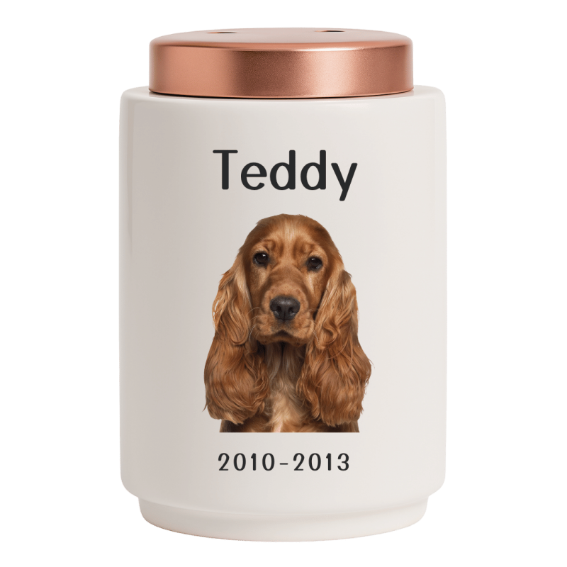 Urne funéraire pour chien personnalisée en céramique avec photo – Urne pour animal avec nom, dates & couvercle en acier inoxydable