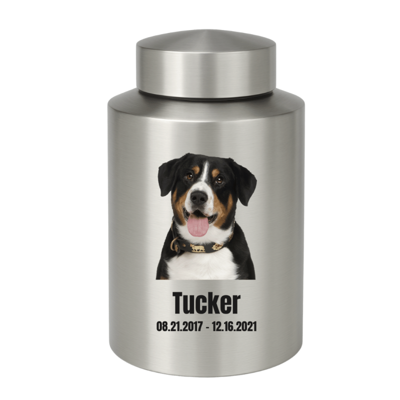 Urne cylindrique pour chien en acier inoxydable personnalisée avec photo, nom & dates