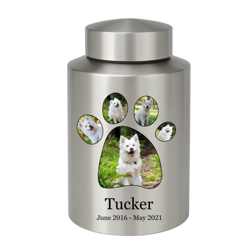 Urne cylindrique pour chien en acier inoxydable personnalisée avec photos dans un cadre en forme de patte, nom & dates