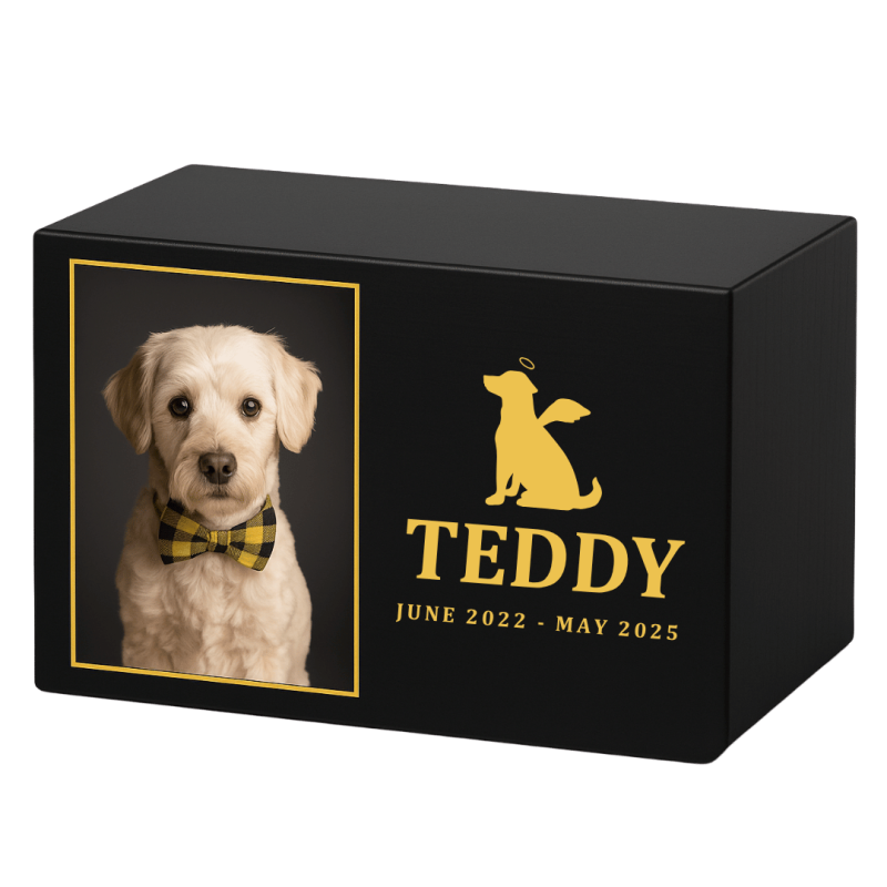 Urne funéraire pour chien en bois noir personnalisée​ avec photo – Coffret souvenir unique avec chien ange, nom & dates
