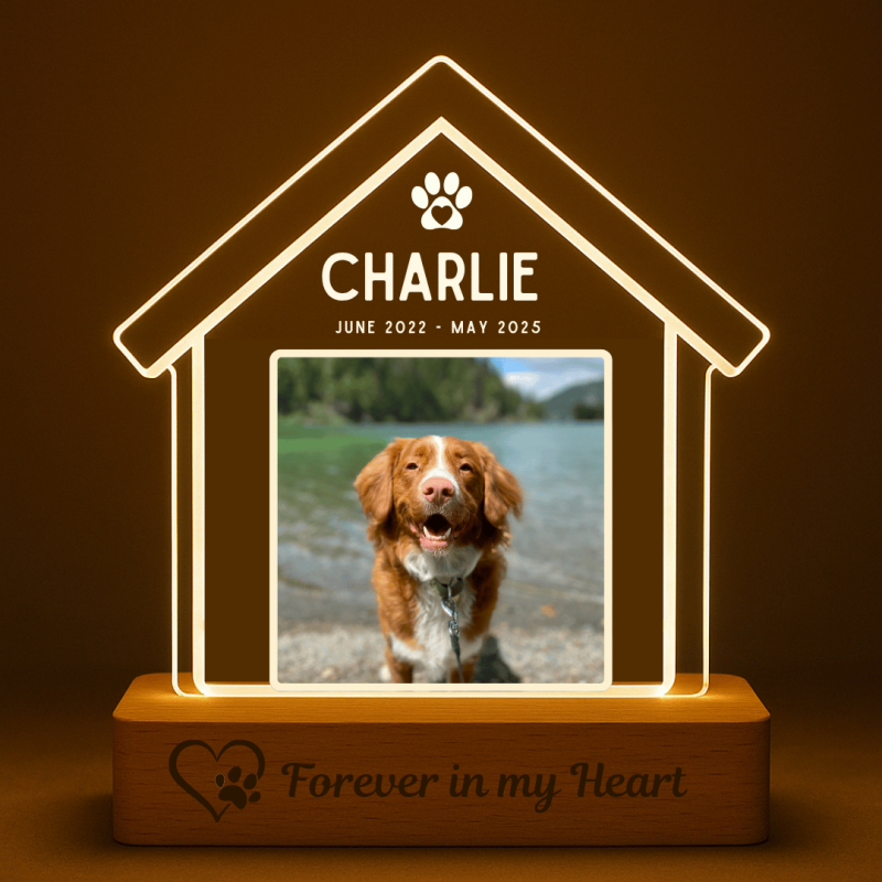 Cadre photo commémoratif lumineux chien personnalisé – Plaque en acrylique maison éclairage LED avec nom & dates gravés