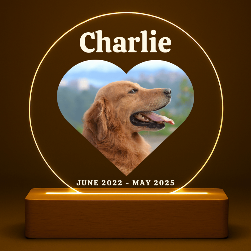 Cadre photo commémoratif lumineux chien personnalisé – Plaque en acrylique ronde éclairage LED avec photo, nom & dates gravés