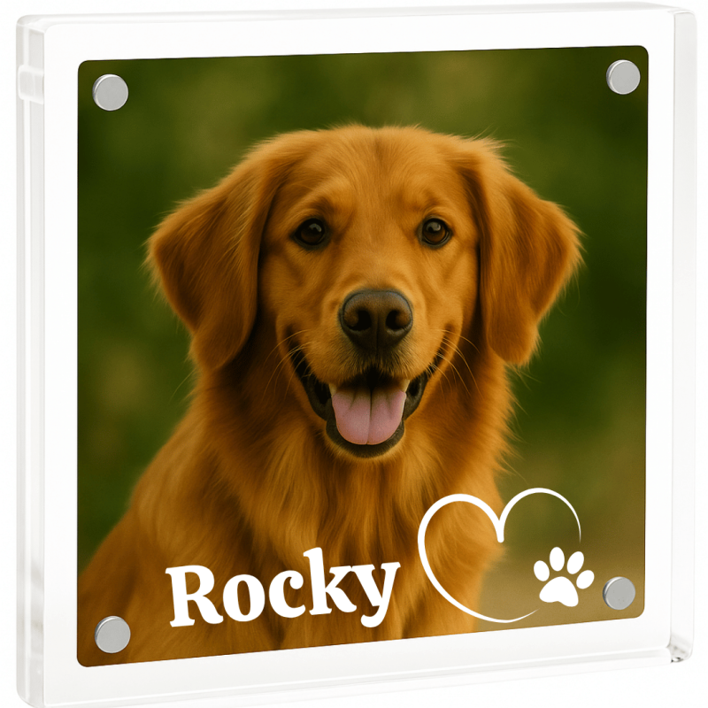 Cadre commémoratif chien personnalisé en acrylique – Plaque photo avec nom et motif cœur-patte
