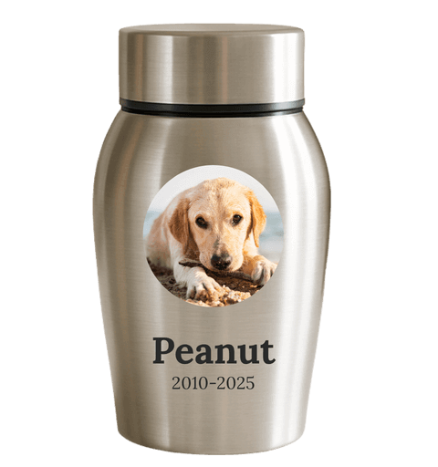 Urne pour chien en acier inoxydable personnalisée avec nom, dates & photo dans un cadre halo
