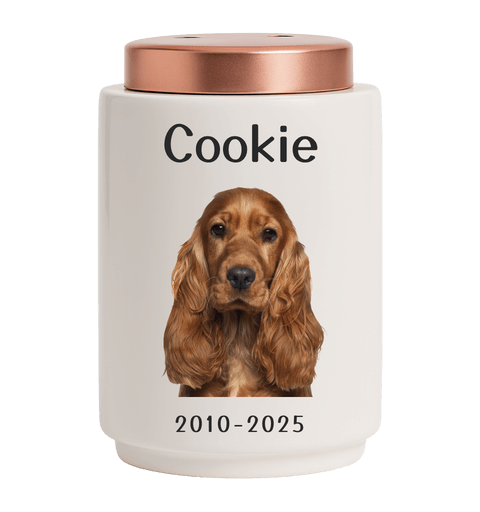 Urne funéraire pour chien personnalisée en céramique avec photo – Urne pour animal avec nom, dates & couvercle en acier inoxydable